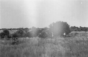 Pampa : Blick über eine ebene Graslandschaft mit Buschvegetation und zwei Personen