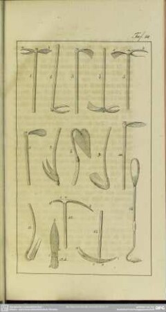Taf. 10 [Hacken und Kärste]