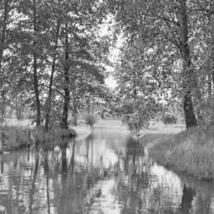 Landschaftsbild. Trotzkefließ in Leipe. : Wobraz krajiny. Groble w Lipjem.