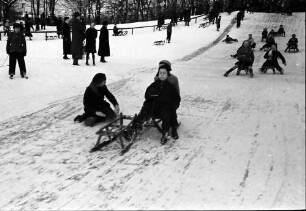 Berlin; Wilmersdorf: Schnee in Berlin; Rodelbetrieb im Stadtpark