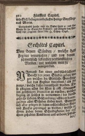 Sechstes Capitel. Von denen Sünden/ welche das Fegfeur verursachen/ ...