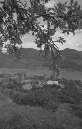 Schwallenbach: Blick von oben ins Donautal, Vordergrund Äste