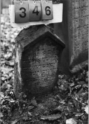 Grabstein 346 (Index: 99752548) Material: Sandstein Zustand: leicht verwittert Maße HxBxT: 49x29x12 cm Beschreibung: Stele, giebelartiger Abschluß mit Verdachung: Grabstein 346