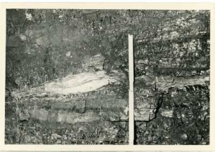 Dresden-Gittersee. Grubenfeld Gittersee. Aufhauen 3, bei circa 10 m. Verdickung der dritten Lette durch hellen Tonstein. Ausschnitt