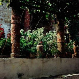 Skopelos. Gartenhof im aufgelassenen Kloster Episkopi