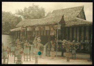 Japan. Wohnhaus oder Teehaus (?), davor Pflanzenkübel