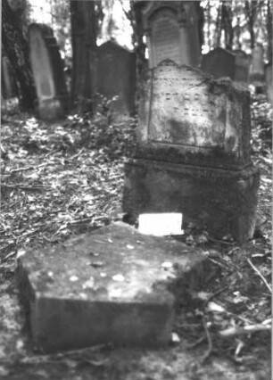 Grabstein 1292 (Index: 99900143) Material: Sandstein Zustand: verwittert, zerstört: durchgebrochen Maße HxBxT: 155x62x16 cm Beschreibung: aufgesockele Stele mit seitlich auskragendem Dreiecksabschluss, in der Mitte durchgebrochen, Oberteil liegt vor der Stele Besonderheit: vermutete Identifizierung nach Gräberverzeichnis: Grabstein 1292