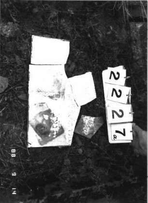Grabstein 2227 (Index: 100097291): Grabstein 2227a
