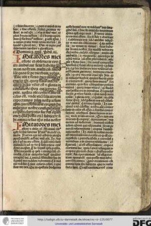 Imitatores mei estote. Ante initium illius epistole scribit sanctus Paulus in eodem capitulo fratres ego non arbitro...