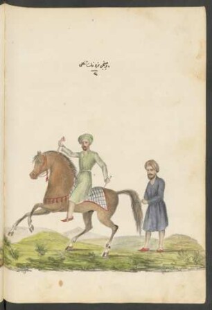 Illustration: f. 83v-84r
