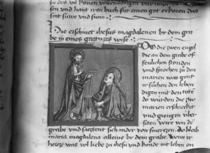 Hs. 436 & fol 202