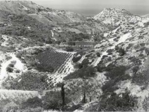 Blick über das Tal von Paphos