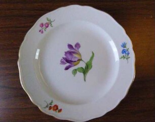 Kuchenteller Bunte Blume Tulpe