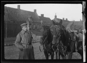 Bursche von Hauptmann Knorr mit zwei Pferden