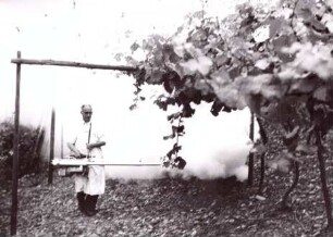 Foto Zerstäubungsgerät im Weinberg