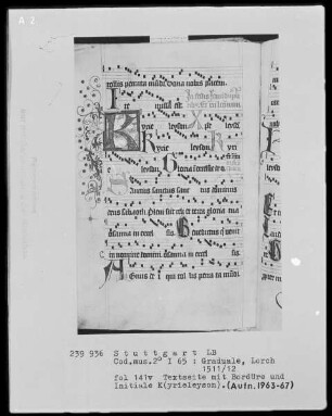 Graduale (Benediktinerhandschrift) — Initiale K(yrieleyson), Folio 141verso