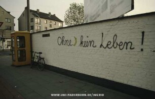 Ohne Banane kein Leben!