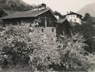 Tirol. Österreich. Frühling in den Alpen im Oberinntal. Blühende Obstbäume