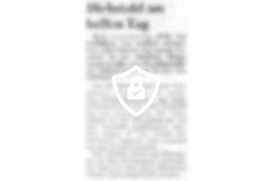 Diebstahl am hellen Tag