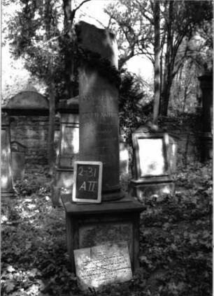 Grabstein A II/2/31 (Detailaufnahme 2)