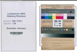 Entnazifizierung Hermann Bremicker , geb. 06.08.1877 (Fabrikant)