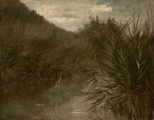 Teich mit schilfbestandenem Ufer