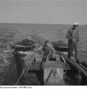 Die Goor. Fischerboot