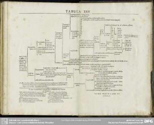 Errata in quibusdam exemplaribus relicta sic Lector aequus corrigat rogatur