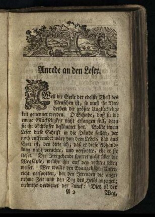 Anrede an den Leser