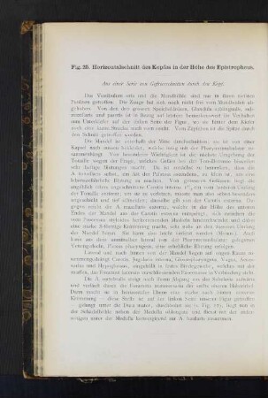II. Rückenmark