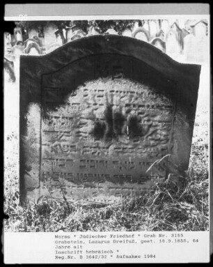 Grabstein des Lazarus Dreifuß (gestorben 1855.09.18)