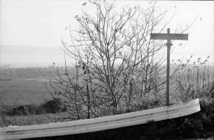 Merdingen: Wege am Tuniberg im November bei Merdingen