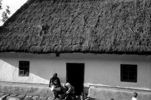 Nepotrowo Poarta Neagra: Ukrainisches Bauernhaus, Frontansicht