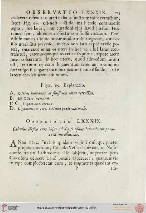 Observatio LXXXIX