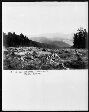 Landschaft bei Altenau