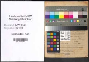Entnazifizierung Karl Schneider , geb. 25.12.1895 (Schornsteinfeger)