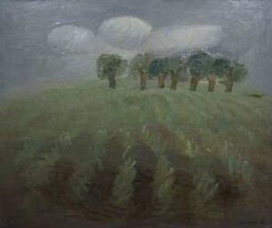 Saatfeld mit Baumreihe