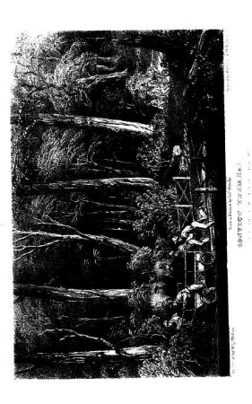 CONVICT TRAM-WAY
