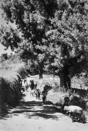 Straßenansicht : Blick auf eine Straße, die zu dem Dorf Menguillet führt.