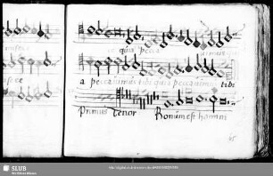 Wolfgang Figulus: Bonum est homini uxorem non tangere