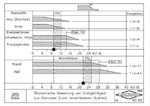 Ökonomische Bewertung von Energieträgern aus Biomasse (nach verschiedenen Quellen)