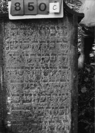 Grabstein 850 (Index: 99751256) Material: Sandstein Zustand: verwittert Maße HxBxT: 117x87x11 cm Beschreibung: Doppelstele, Schriftfelder eingetieft: Grabstein 850C
