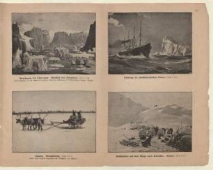 Eisberge im nordatlantischen Ozean