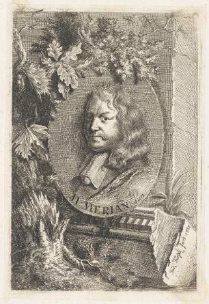 Bildnis des M. Merian