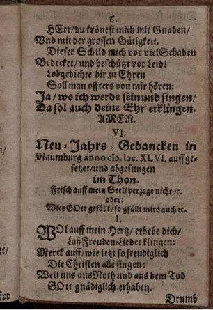 VI. Neu-Jahrs-Gedancken in Naumburg anno M.DC.XLVI. auffgesetzet/ und abgesungen