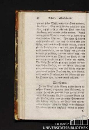Alleebäume.