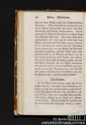 Alleebäume.
