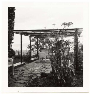 Garten Dr. Udo Rukser, Oberbühlhof am Bodensee: Pergola im Garten, Riesenbärenklau