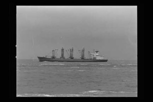 Merian (1972)