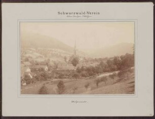 Blick auf Ettenheimmünster